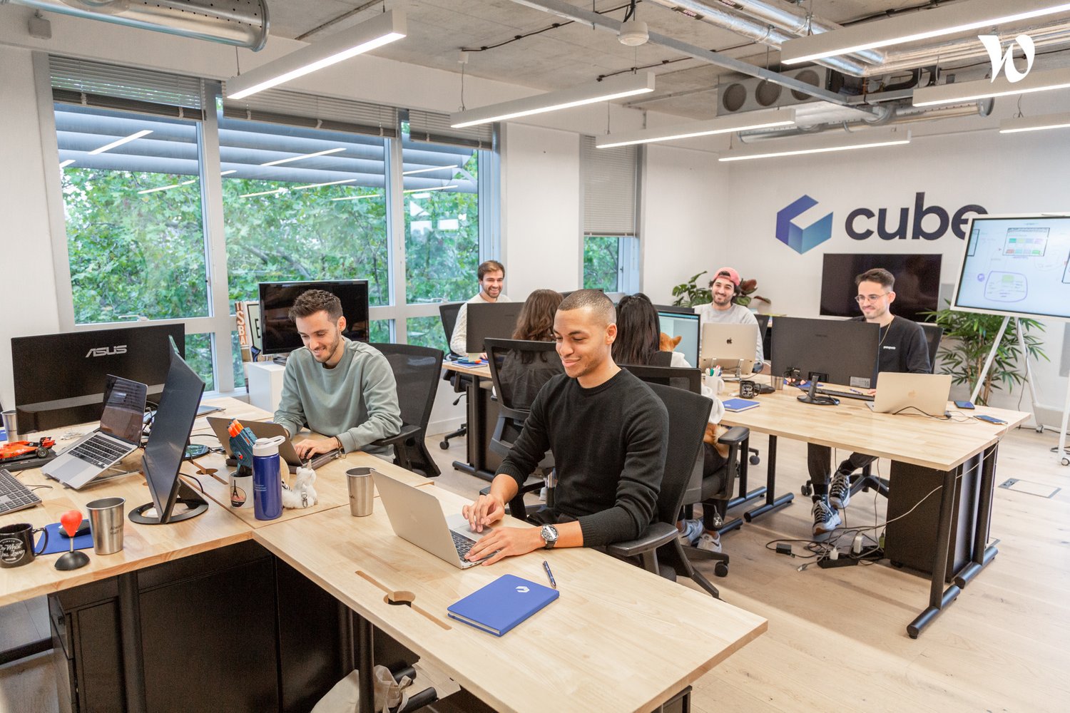 cube team photo office members